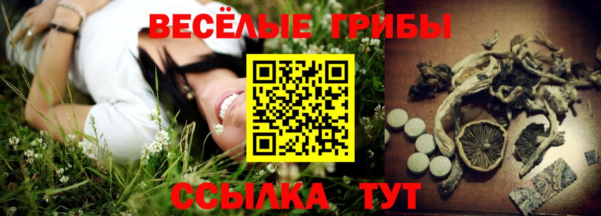 Галлюциногенные грибы мухоморы  Вход с VPN  Лесосибирск  Галлюциногенные грибы мухоморы 